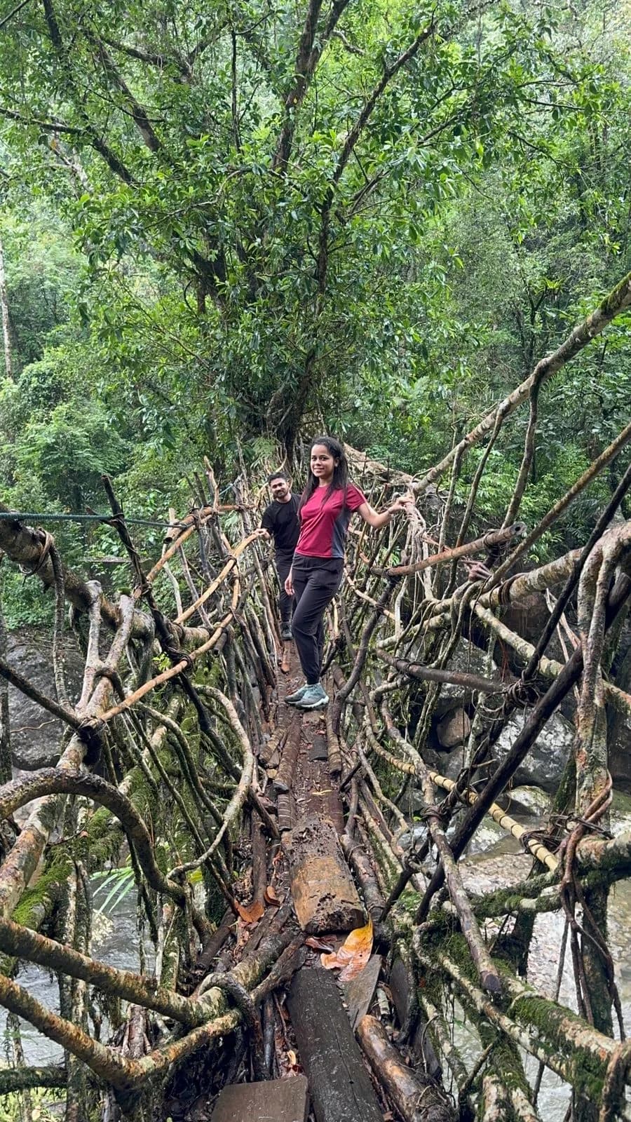 A traveller crossing a living root bridge through dense green forest, a second traveller following behind