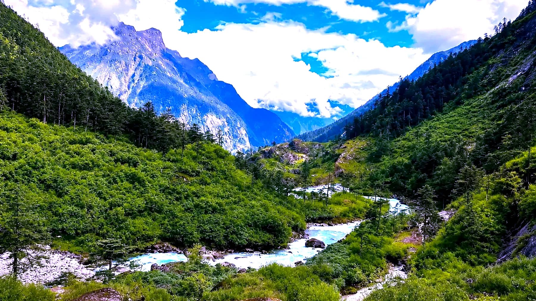 A glacial river running pale blue through a green valley in Dibang, with a rock peak and cloud above the treeline