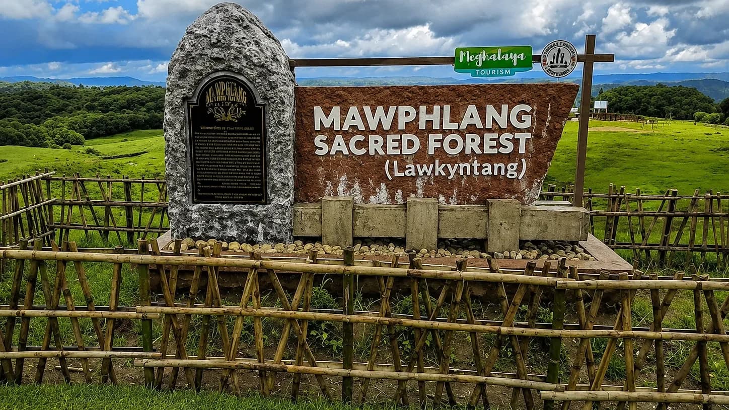 The stone marker and sign at the entrance to the Mawphlang sacred forest, open grassland rolling away behind it