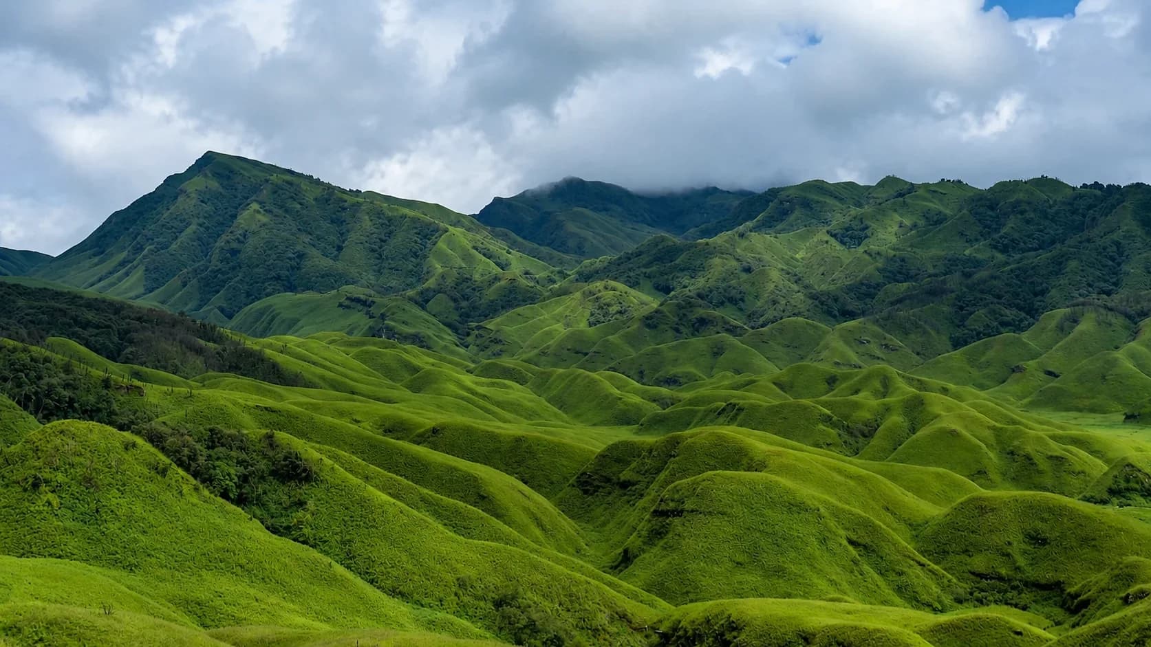 The Dzukou Valley under cloud, its floor rolling away in smooth green humps to a ridge beyond