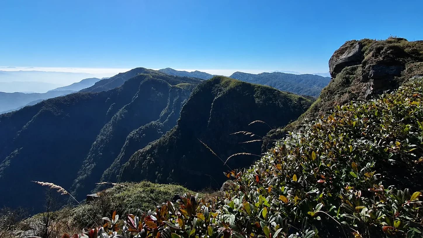The view from the Japfü ridge, ranges receding into haze with rhododendron scrub in the foreground