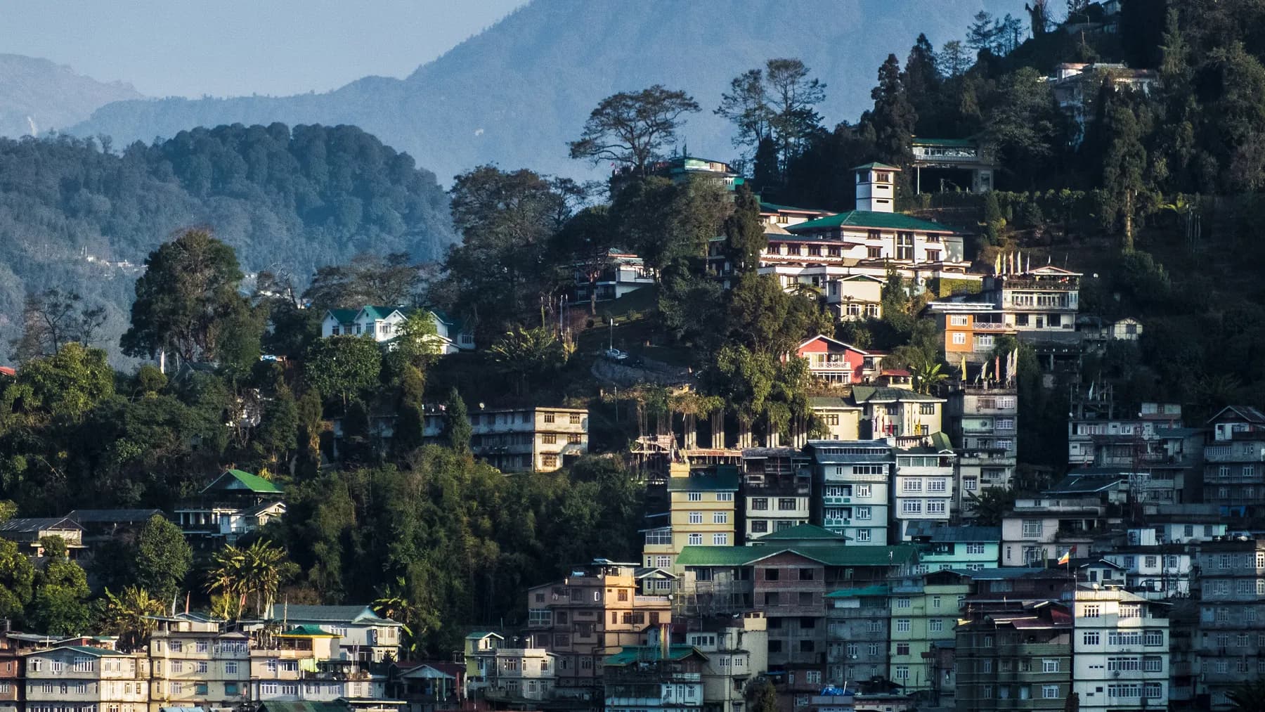 Gangtok's buildings stacked along a forested ridge in morning light, blue ranges fading behind