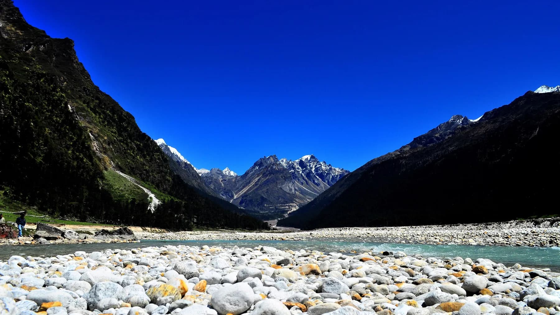 The Lachung Chu running over a wide bed of pale stones in the Yumthang valley, dark forested slopes and snow peaks under a deep blue sky