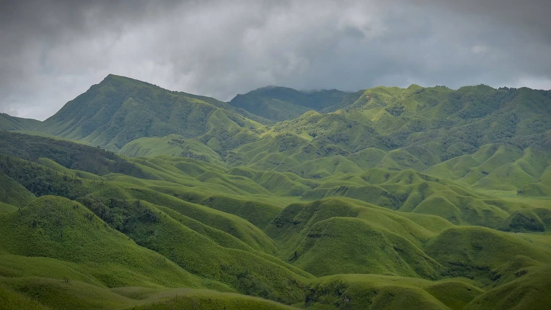 The rolling green hills of the Dzukou Valley under low cloud, Nagaland