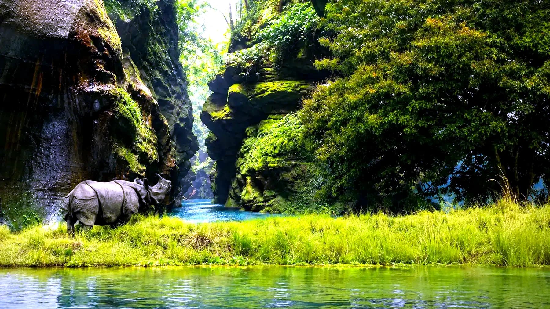 A Meghalaya gorge beside a rhino on the Kaziranga grassland — the two halves of the route