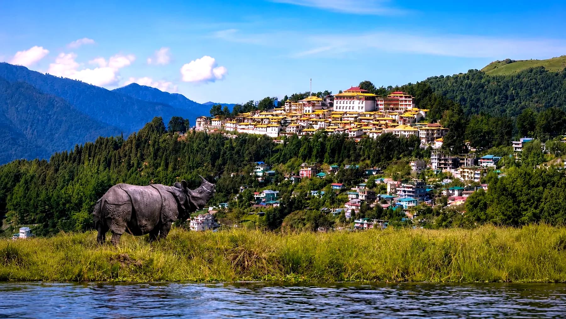 Tawang Monastery on its ridge beside a rhino on the Kaziranga grassland — the two halves of the route